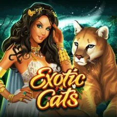 Exotic Cats - LETSEBET77